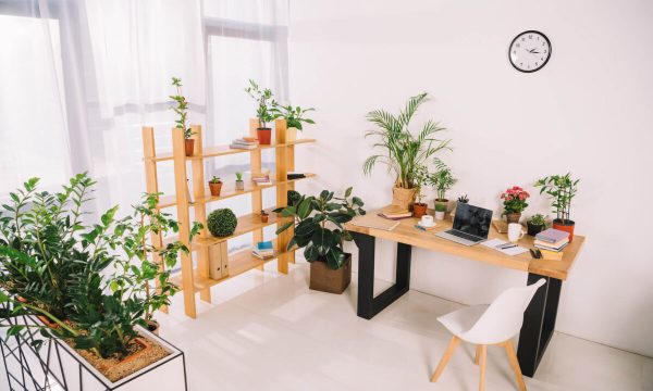 interior-of-business-office-with-green-plants-497PPNK-e1698810459352.jpeg